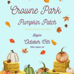 The essence of exceptional living fall flyer