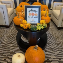 The essence of exceptional living a pot with pumpkins in it