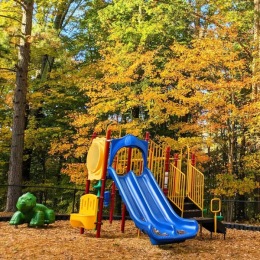 a blue slide at a playground